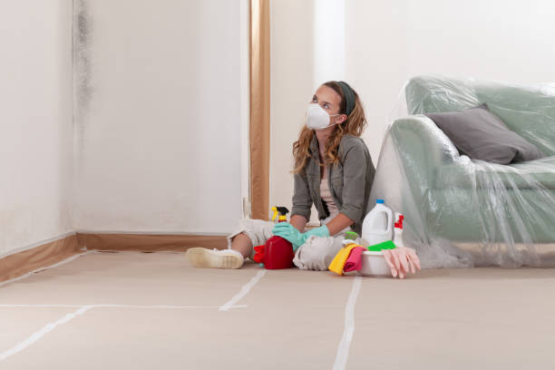 Reliable Mold Cleanup contractor in Gainesville, TX by Cheap Mold Removal